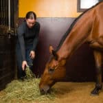 dreamstime m 26430440