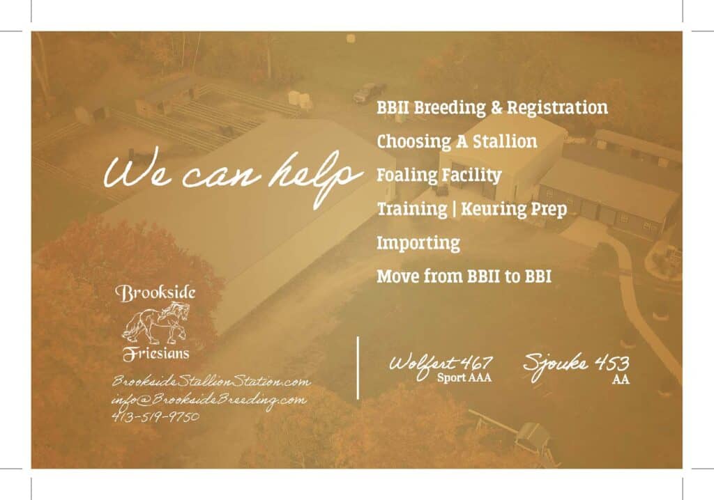 2024 we can help you